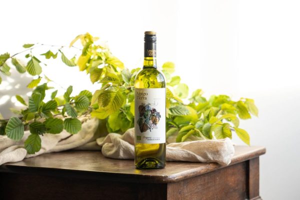 Белые вина из винограда Айрен